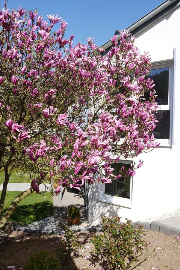 Ferienwohnung "Magnolia" Kordel Kültér fotó